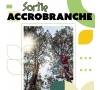 SORTIE ACCROBRANCHE