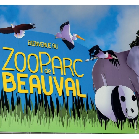 Séjour à Beauval - ZOO de BEAUVAL - 2025 - SLVie 74