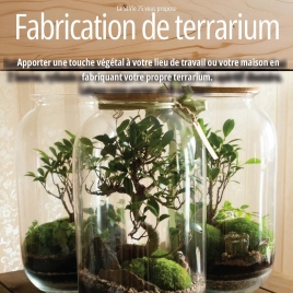 SLV 75 - FABRICATION TERRARIUM