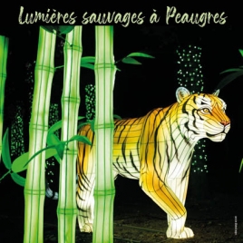 SLV 75 - LUMIERES SAUVAGES AU SAFARI DE PEAUGRES