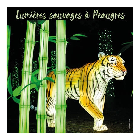 SLV 75 - LUMIERES SAUVAGES AU SAFARI DE PEAUGRES