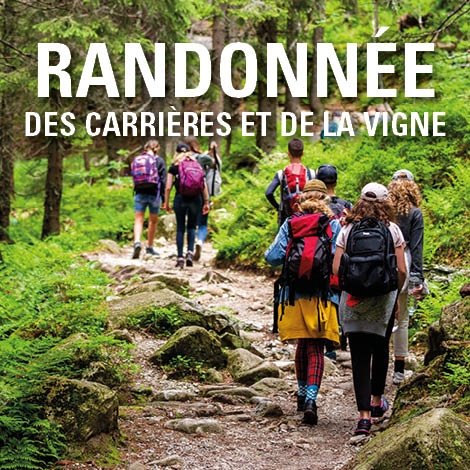 RANDONNEE DANS UN VIGNOBLE - CONTEE DU TACOT - SLVie 70 - 2026