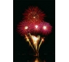 77- FETE DU LAC D'ANNECY