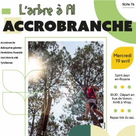 SLV 76 - L'ARBRE A FIL ACCROBRANCHE